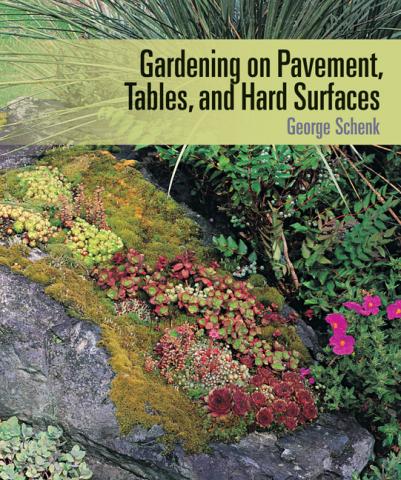 Gardening on Pavement, Tables, and Hard Surfaces book cover