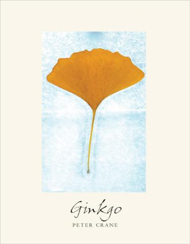 Ginkgo: The Tree That Time Forgot: cover