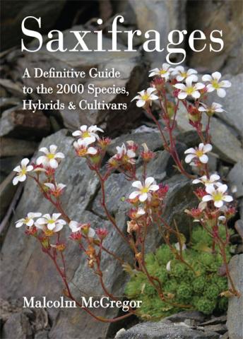 Saxifrages: A Definitive Guide to the 2000 Species, Hybrids & Cultivars Saxifrages: book cover