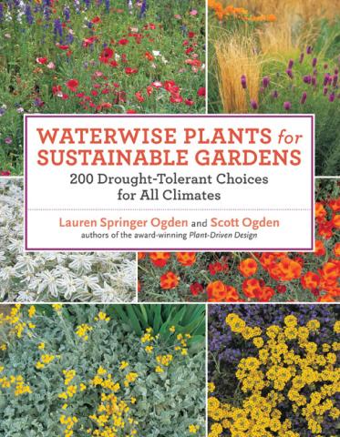 Waterwise Plants for Sustainable Gardens: book cover