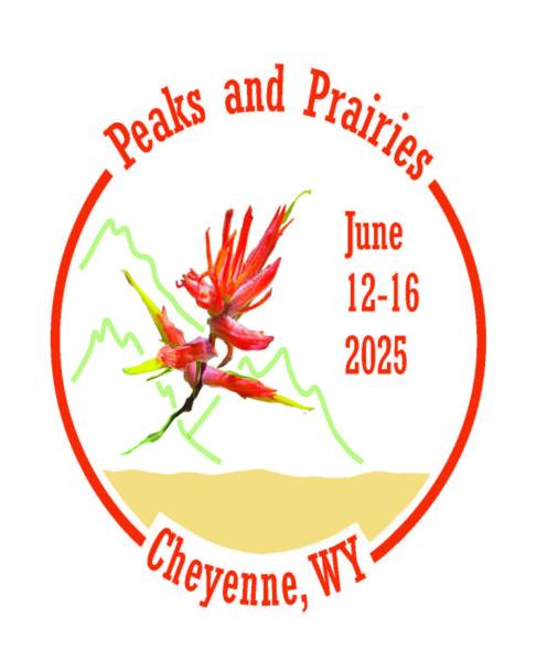 Arisarum vulgare Arisarum vulgare