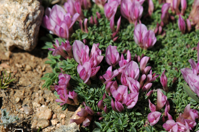 Aradena Gorge Aradena Gorge