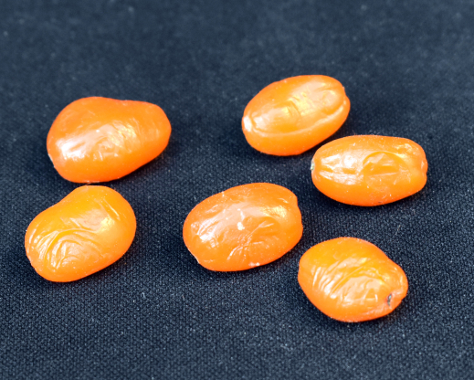 Haemanthus deformis fruit Haemanthus deformis fruit