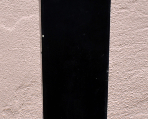 Haemanthus pauculiflorus Haemanthus pauculiflorus