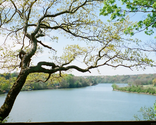 Incredible garden views Incredible garden views