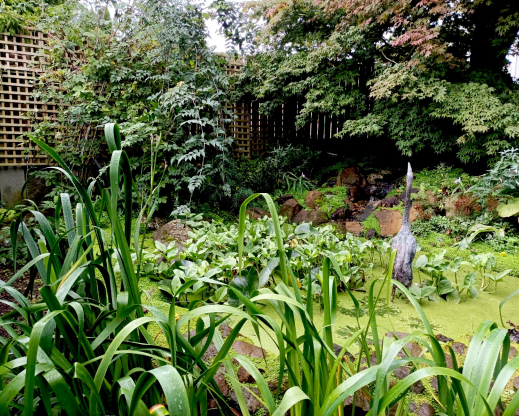 Water feature in the garden