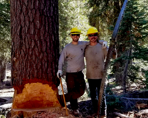 The author (left), fellow sawyer Jake Norman, Turtle (the ax), Thelma (the crosscut saw),  and Pumba (the red fir). 