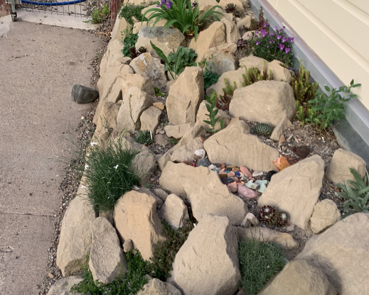 View of the crevice garden after planting