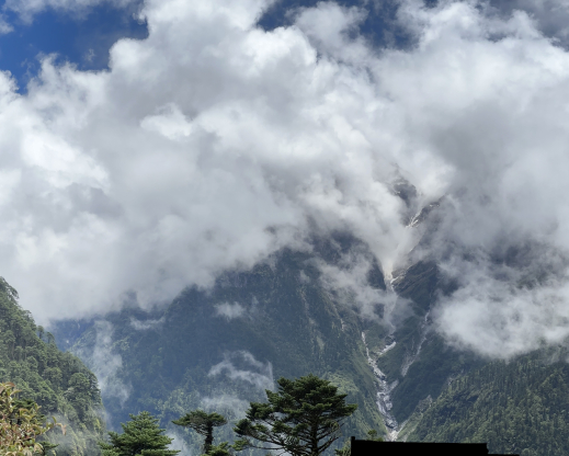 View in Yumthang Valley