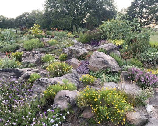Rock garden in full bloom Rock garden in full bloom