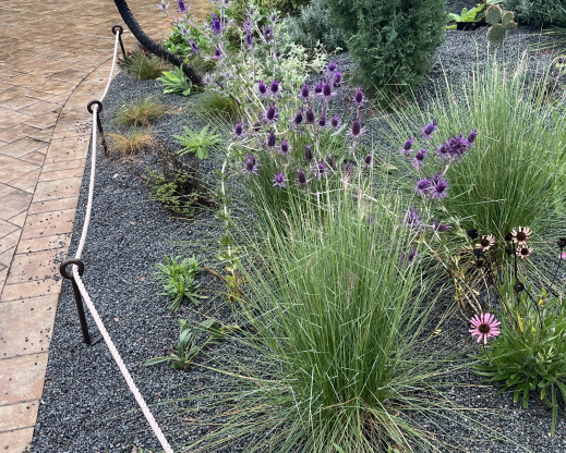 The garden at the end of September