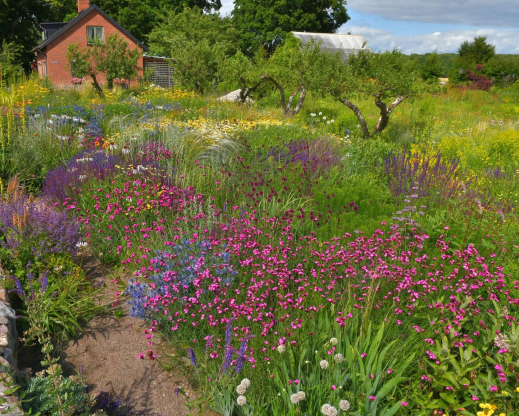 Peter Korn’s sand garden in Sweden (Photo by Peter Korn)
