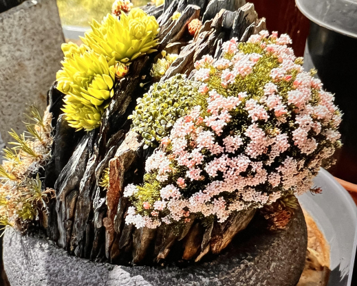 Completed container in bloom. Completed container in bloom.