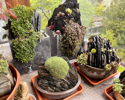 Different pot sizes and shapes each bring a different look to the composition. Different pot sizes and shapes each bring a different look to the composition.