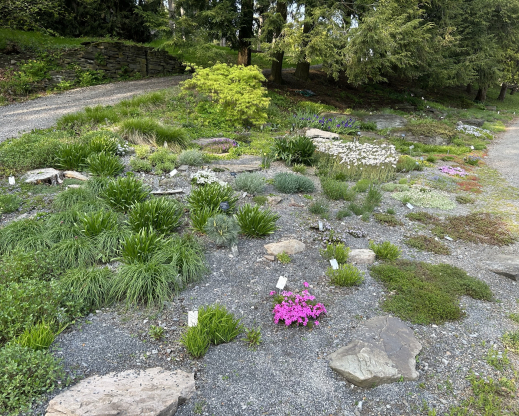 The garden in 2023 after restoration. The garden in 2023 after restoration.