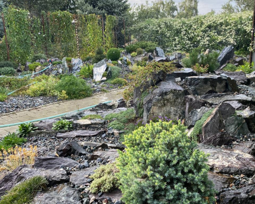 View of the rockeriesThe rock garden