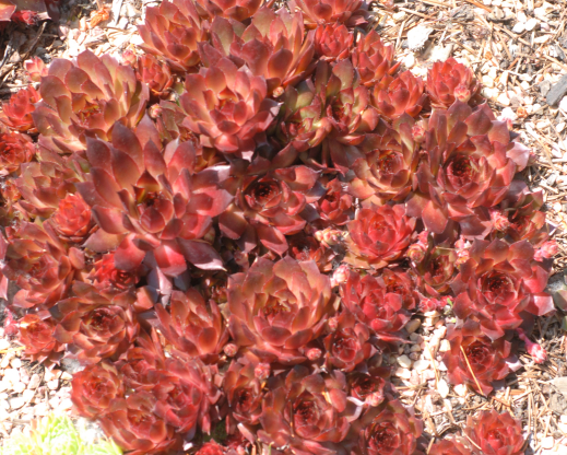 Positively Glowing Positively Glowing