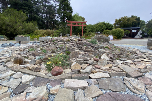 The central crevice garden.