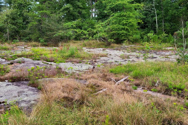 A dry sandstone glade