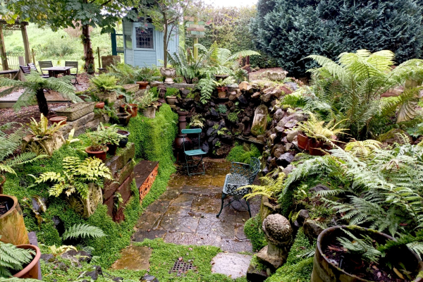 The Fernery