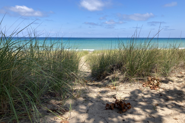 Lake Michigan seen from the dunes