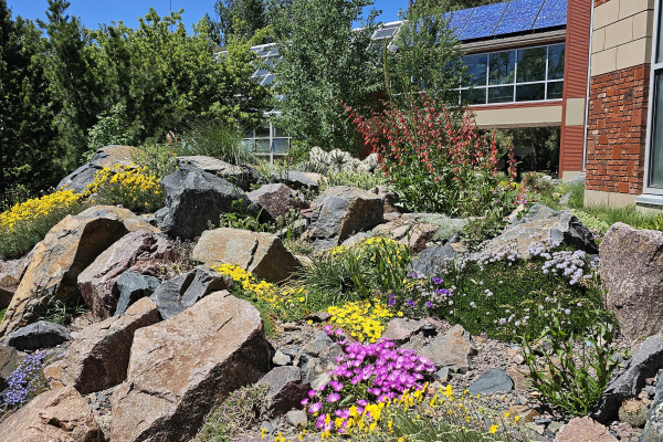 The Crevice Garden at the Cheyenne Botanic Gardens.