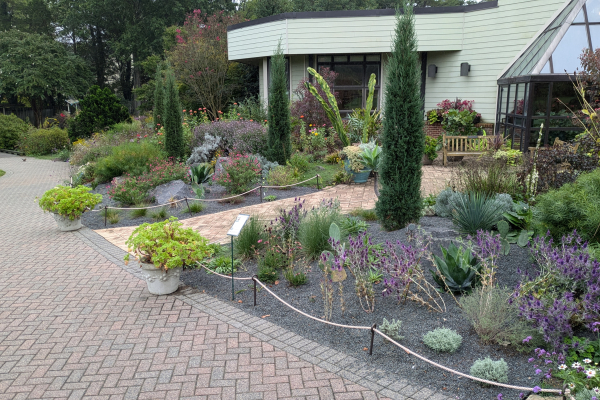 The new Gravel Garden at Green  Springs Gardens.
