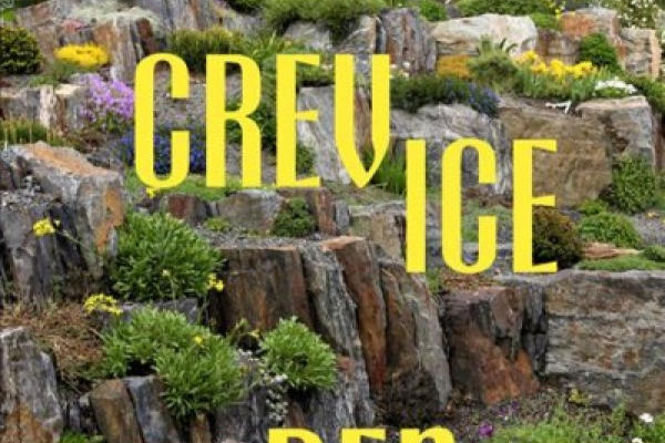 Crevice Garden Review