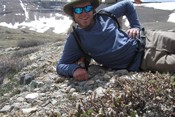 Nick Courtens and Salix calcicola