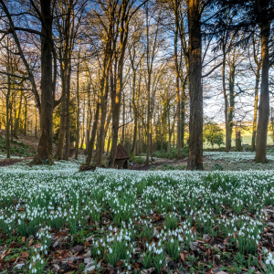 Painswick Rococo Garden