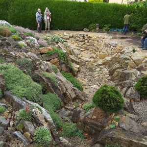 Brejnik Crevice Garden Overview