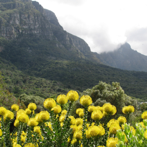 Pruhonice botanical gardens in the Czech Republic