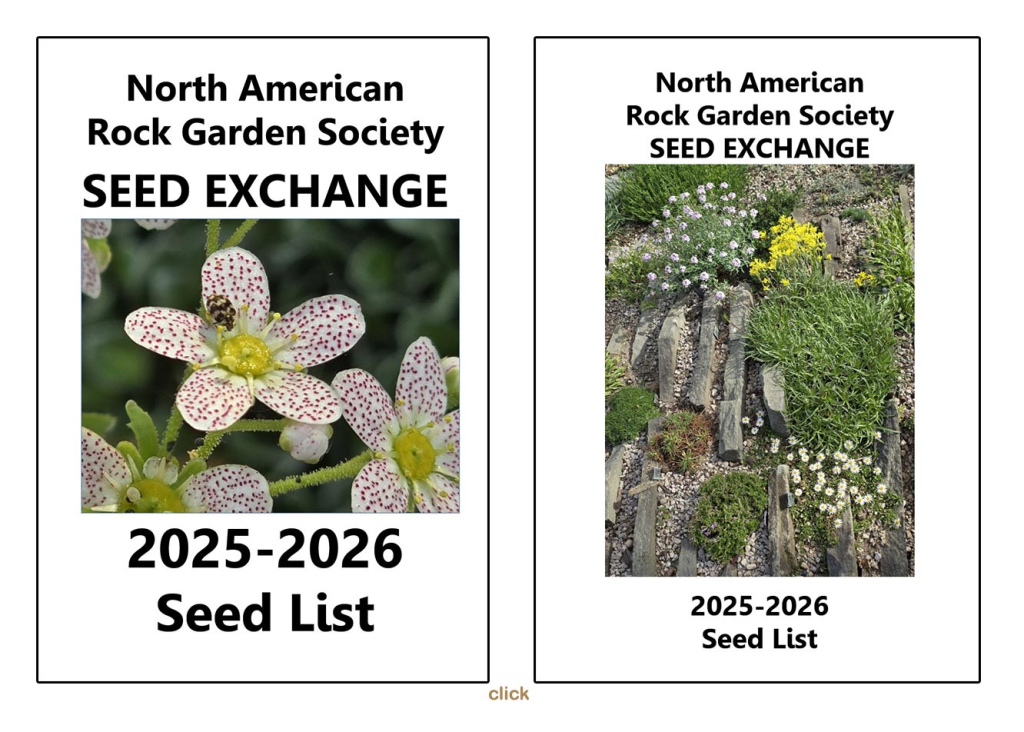 NARGS 2025-2026 Seedex