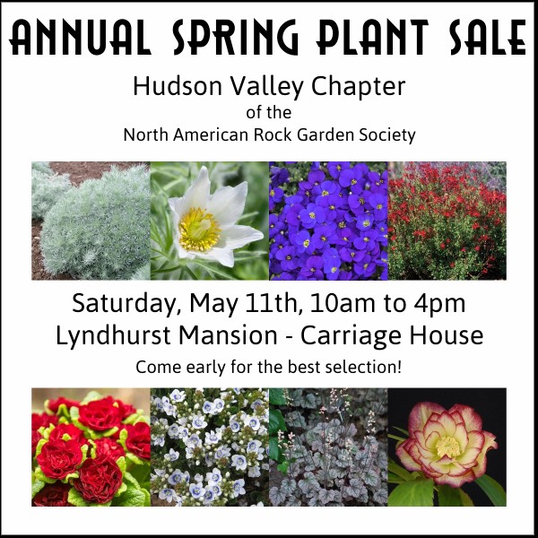 plant sale