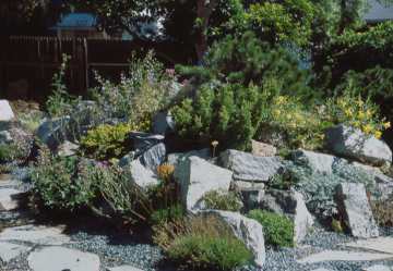 Peter George rock garden