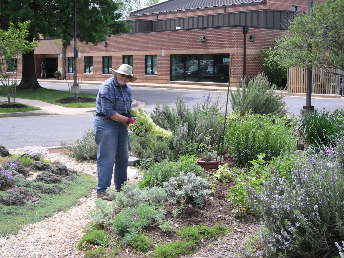 Gardener in Chief