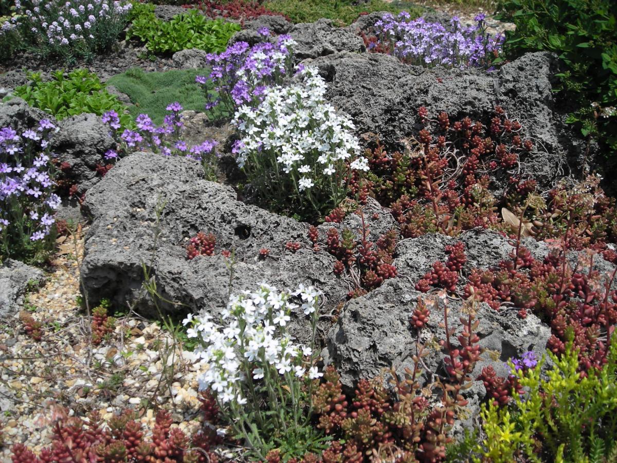 Tufa Garden