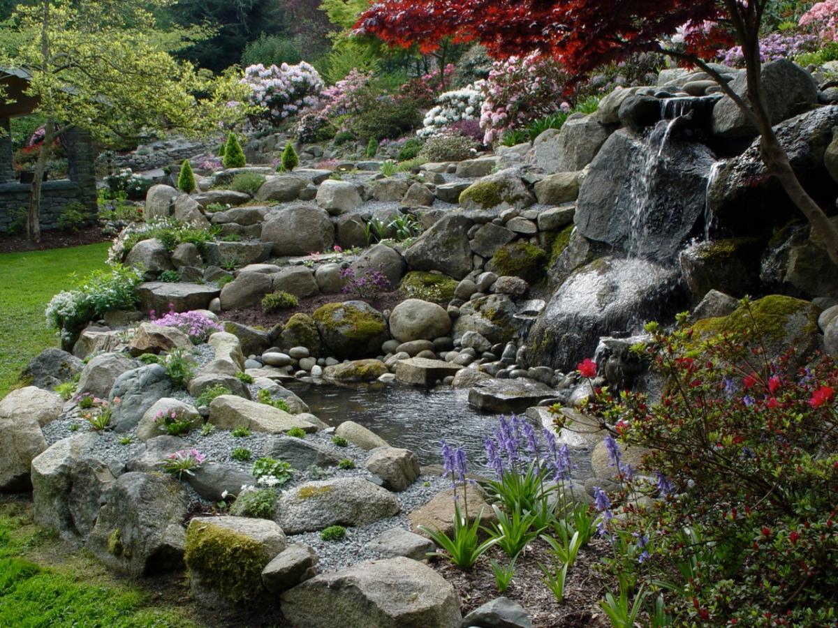 Pond and Waterfall