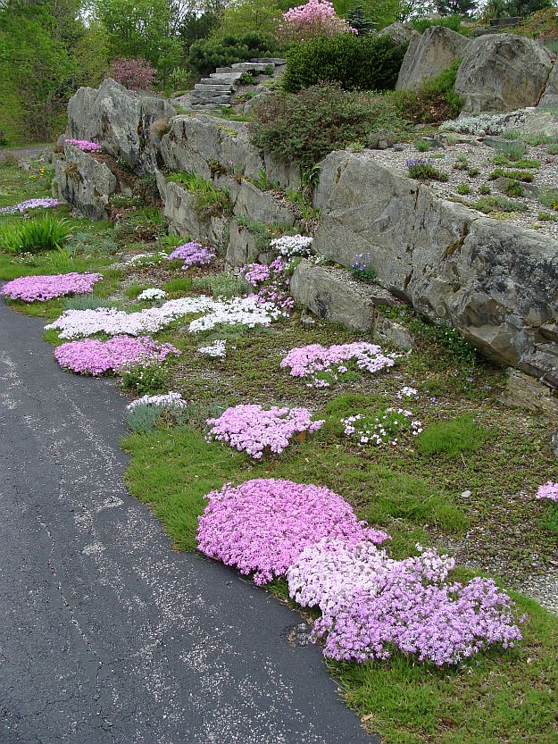 Driveway Ledges