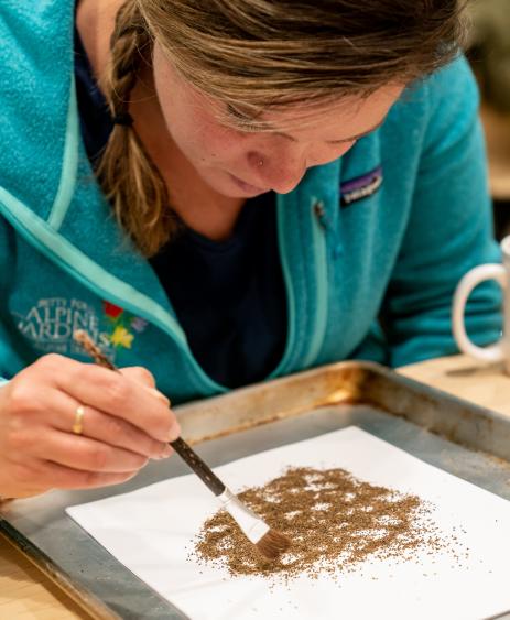 Seed cleaning.  Photo: Dominique Taylor