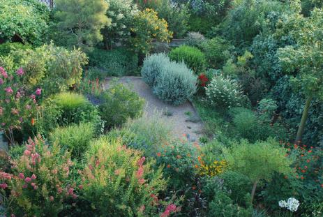 View of the garden from above