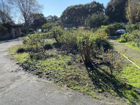 Site of the future rock garden before construction began