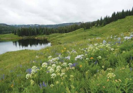 Mosquito Lake