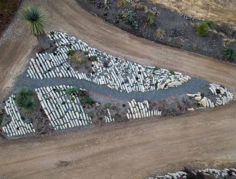 Part of the crevice garden from above.