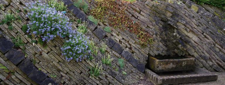 The current ‘Living Walls’ by the Alpine Glasshouse, made from recycled concrete.