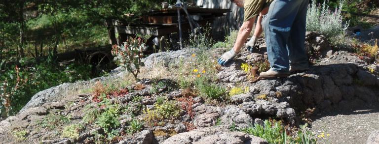 Walter Blake works in the concrete rock garden.