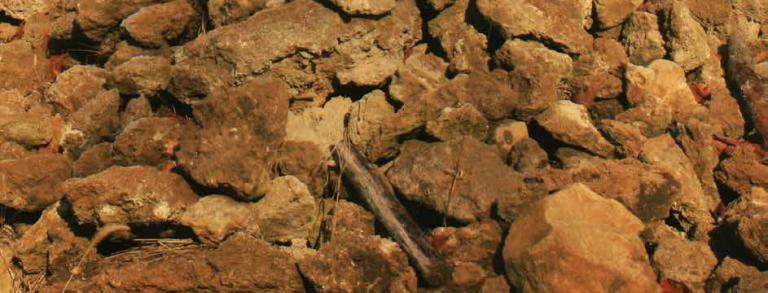  Tufa pile from farm fields, drained former wetlands, in Ohio